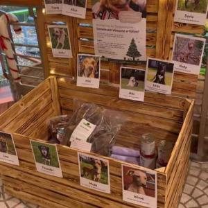 Im Dezember hat Schecker Hundebedarf in Aurich und in Südbrookmerland eine tolle Aktion ins Leben gerufen. Jeder Kunde konnte jedem Hund im Tierheim ein Geschenk kaufen. Wir fanden diese Idee echt super und es hat uns sehr gefreut das unsere Hunde bedacht wurden.
Als wir die Spenden abholen konnten verschlug es uns regelrecht die Sprache.... Es ist so viel tolles zusammen gekommen... Ein großes Dankeschön an alle Spender und an das Schecker Team. Die sich auch mit beteiligt haben. Wir wurden sehr herzlich Aufgenommen. Vielen lieben Dank auch im Namen unserer Hunde 🐕🥰