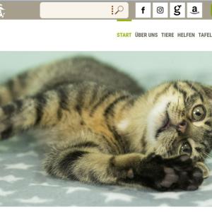 Wir möchten Euch heute unsere neue Homepage ans Herz legen. Wir haben lange dran gearbeitet und es ist sicherlich noch nicht ganz perfekt...aber das wird schon 🙂 
Wir finden aber das sie sehr schön geworden ist...auch konnten die schönen Bilder von HHeidi Bollich - Fotografie verwendet werden, Sie hat auch unter anderen unsere Mitarbeiter Bilder gemacht.
Wir hoffen Sie gefällt euch genauso gut wie uns 🙂
www.tierheim-hage.de